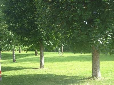 Chambres D'Hotes La Chaumiere Arcy-sur-Cure Bagian luar foto